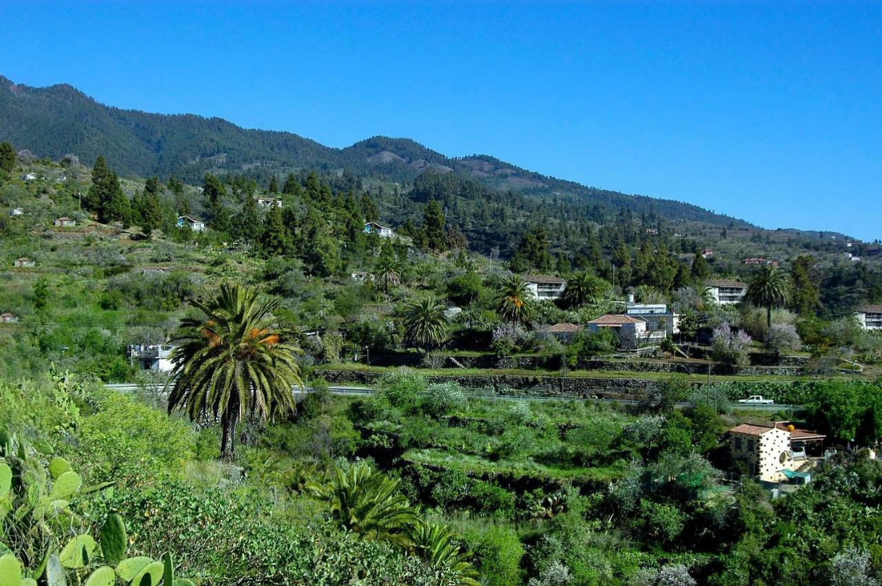 Vv Duplex Isla Bonita "By Henrypole Home" Los Cancajos Bagian luar foto